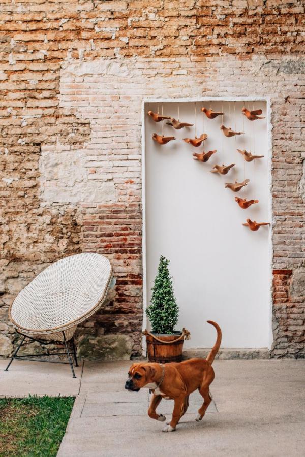 Hotel Tabaa Oaxaca Zewnętrze zdjęcie
